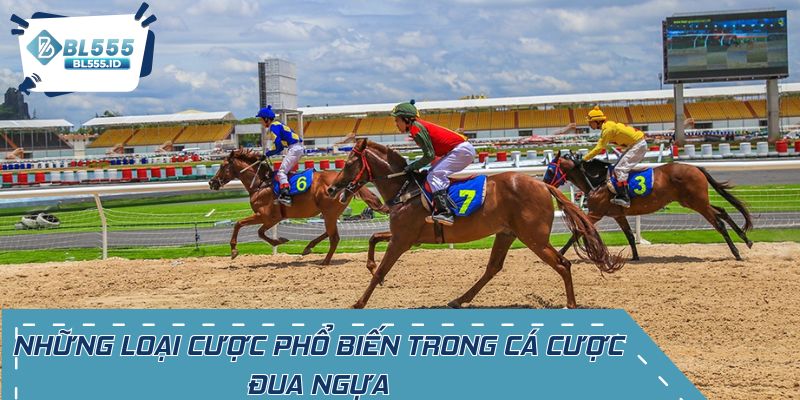Những loại cược phổ biến trong cá cược đua ngựa