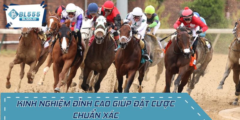 Kinh nghiệm đỉnh cao giúp bạn đặt cược chuẩn xác