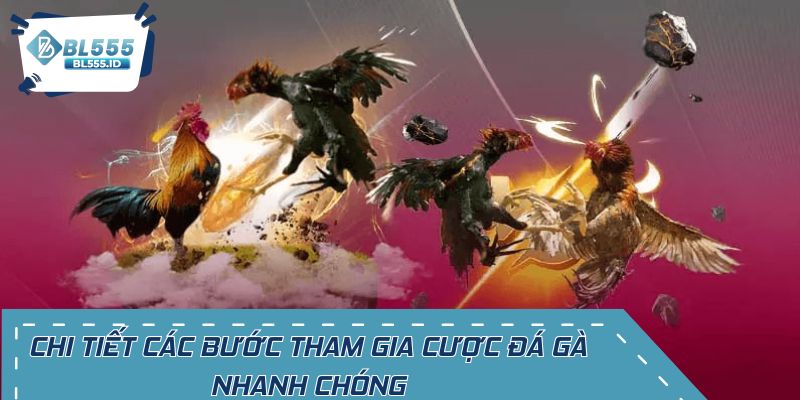 Chi tiết các bước tham gia cược đá gà nhanh chóng