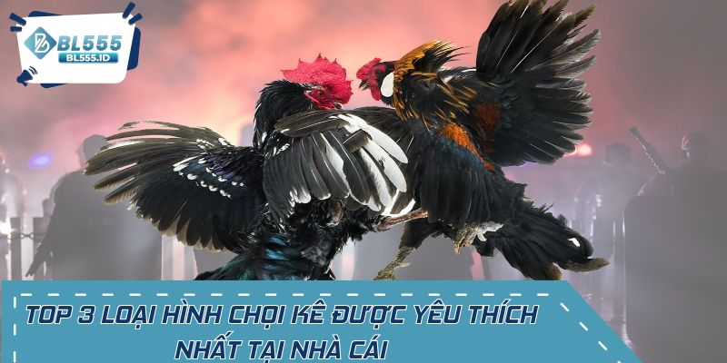 Top 3 loại hình chọi kê được yêu thích nhất tại nhà cái
