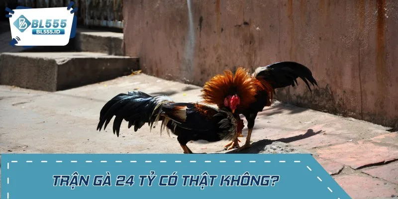 Trận gà 24 tỷ là cuộc chiến gây chấn động trong cá cược