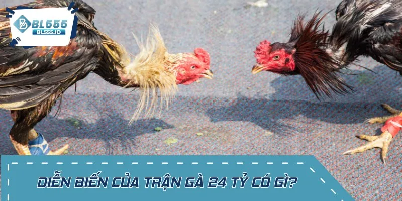 Diễn biến đầy cam go của trận gà 24 tỷ